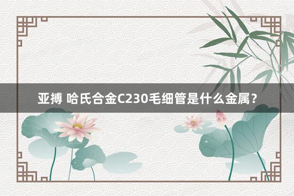 亚搏 哈氏合金C230毛细管是什么金属？