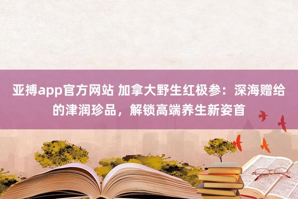 亚搏app官方网站 加拿大野生红极参：深海赠给的津润珍品，解锁高端养生新姿首