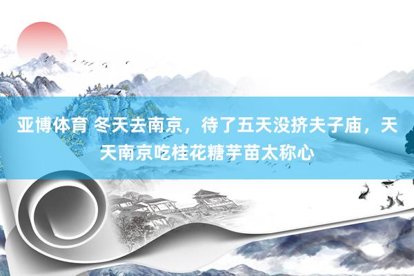 亚博体育 冬天去南京，待了五天没挤夫子庙，天天南京吃桂花糖芋苗太称心