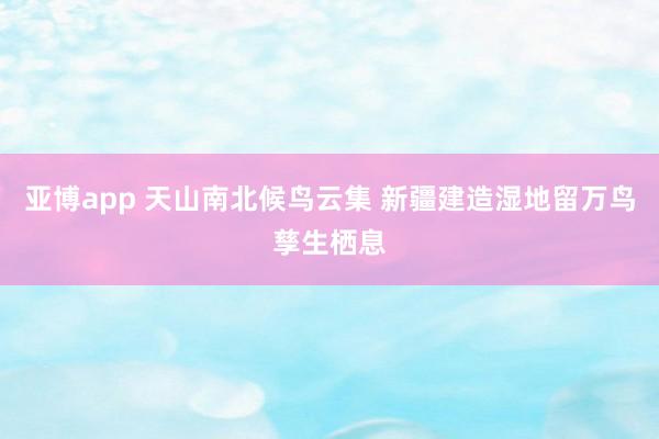 亚博app 天山南北候鸟云集 新疆建造湿地留万鸟孳生栖息