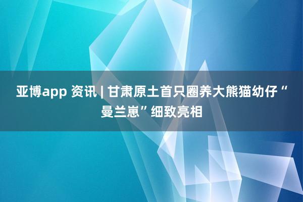 亚博app 资讯 | 甘肃原土首只圈养大熊猫幼仔“曼兰崽”细致亮相