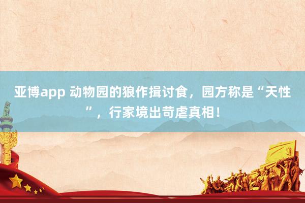 亚博app 动物园的狼作揖讨食，园方称是“天性”，行家境出苛虐真相！