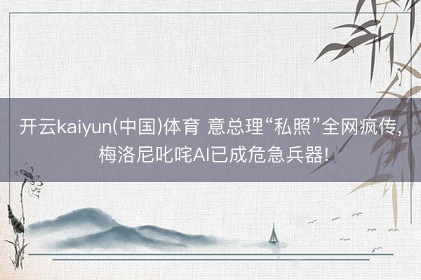开云kaiyun(中国)体育 意总理“私照”全网疯传, 梅洛尼叱咤AI已成危急兵器!
