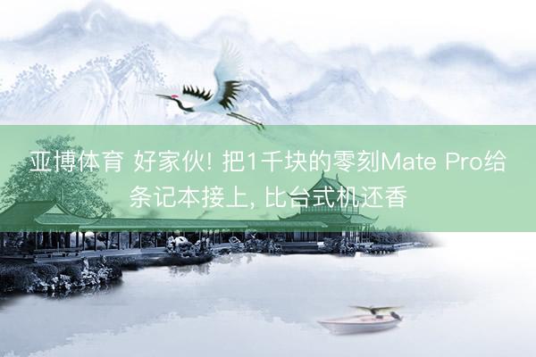 亚博体育 好家伙! 把1千块的零刻Mate Pro给条记本接上， 比台式机还香